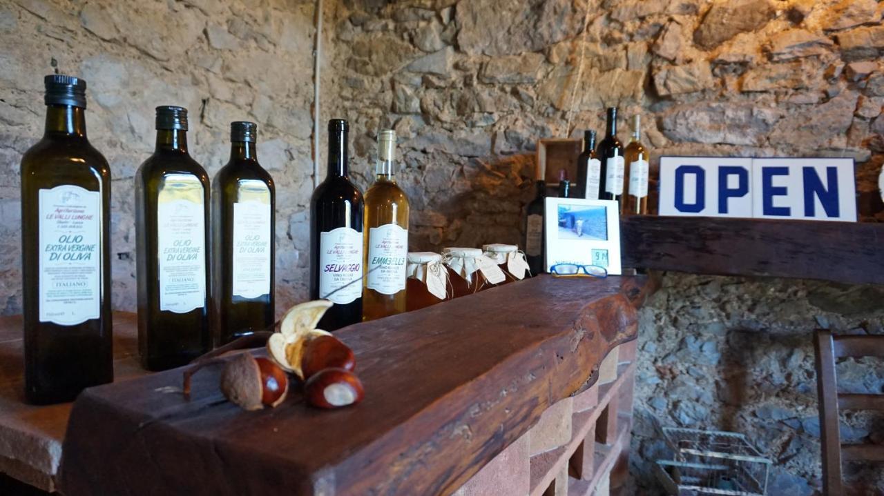 Agriturismo Le Vallilunghe Appartement Lucca Buitenkant foto