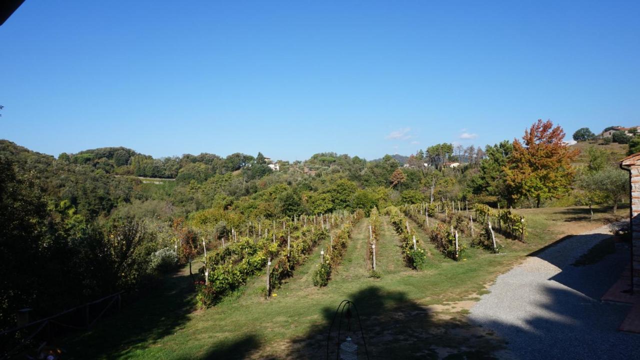 Agriturismo Le Vallilunghe Appartement Lucca Buitenkant foto